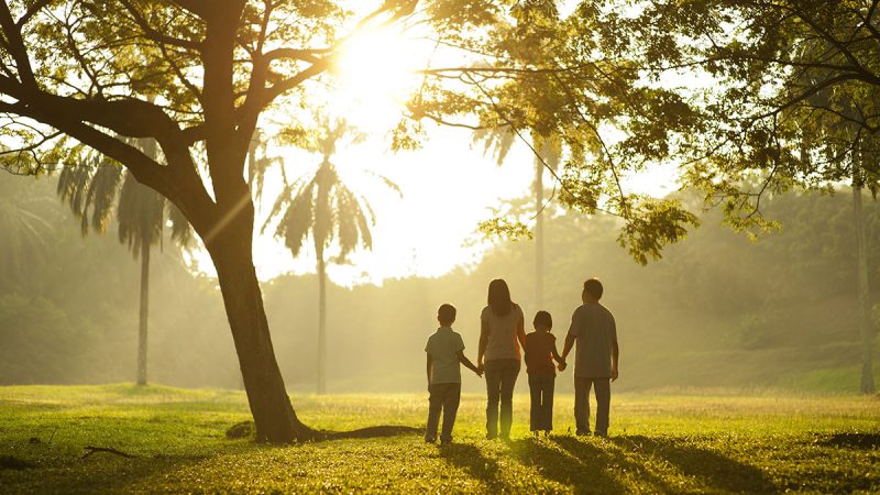 Asian family holding hands and walking towards light